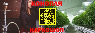 дмт Сочи