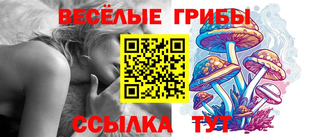 Воронеж  Псилоцибиновые грибы Psilocybe  хочу   Вход с VPN 